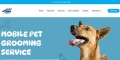 site preview