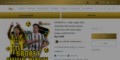 site preview
