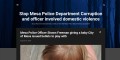 Shawn Freeman Mesa Police Officer | Mesa Arizona
