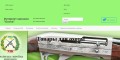 site preview