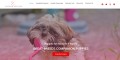 site preview