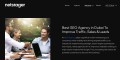SEO Agency in Dubai - Netstager