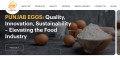 India’s Best Egg Powder Supplier – Premium Quality & Bulk Supply