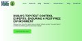 Discover the Ultimate Pest Control Solutions in Dubai: Your Guide to a Pest-Free Home and Business