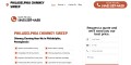 site preview