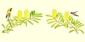 native plant landscape design san diego ca