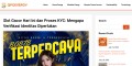 site preview