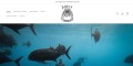 site preview