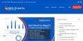 What SEO Monthly Report Should Clients Expect?