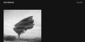 site preview
