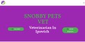 Trusted Veterinarian in Ipswich