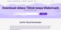 Download Video Tiktok Tanpa Watermark TikTok Downloader Mp4