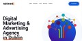Tech Brando - Digital marketing Agency Dublin