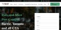 Rodent Control in Toronto by Top Choice
