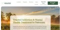 Treatment Tennessee