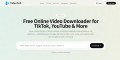Videofish