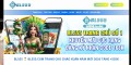 site preview