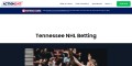 site preview
