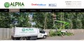 Tree Surgeons Leatherhead