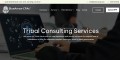Tribal Accounting Audit Consulting Firm | Tribal Consultancy Services