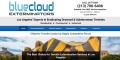 site preview