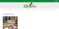 site preview
