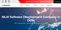 MLM  Software Development Company in Delhi