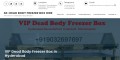 SK - Dead Body Freezer Box