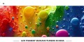 Pigment powder suppliers in india