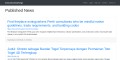 site preview