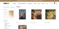 Elevate Your Aesthetic with Gayle Faulkner Fine Art