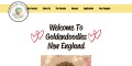 Goldendoodles New England