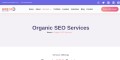 Organic SEO Services – Get Higher Ranking in Google | Hire seo expert