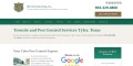 site preview