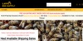 Bee Supplies