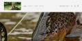 Fly Fishing Videos
