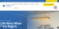 site preview