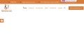 site preview