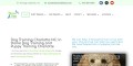 site preview