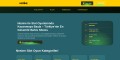 Nesine – Güvenilir Bahis ve Casino Platformu