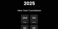 2024 new year countdown timer