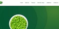 Dubai’s Frozen Corn & Peas Specialist – PAL Fresh Global
