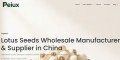 Lotus Seeds Bulk