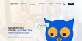 automation testing services in usa