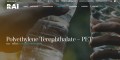 Polyethylene Terephthalate Film Supplier