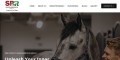 site preview