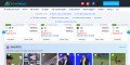 Cricket Live Score | Schedule | Leagues
