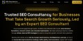 Professional SEO Consultant | UK, USA, Canada, Australia