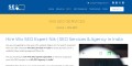 Wix SEO Expert India