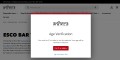 site preview